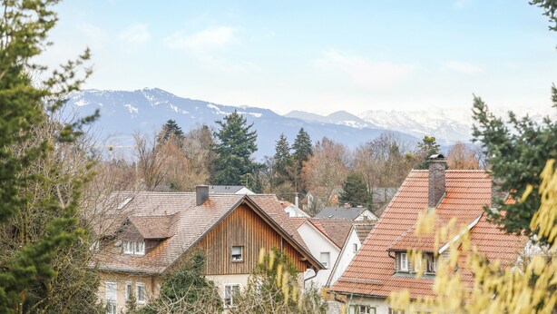 Zona residencial con casas, una cordillera al fondo y árboles en primer plano.