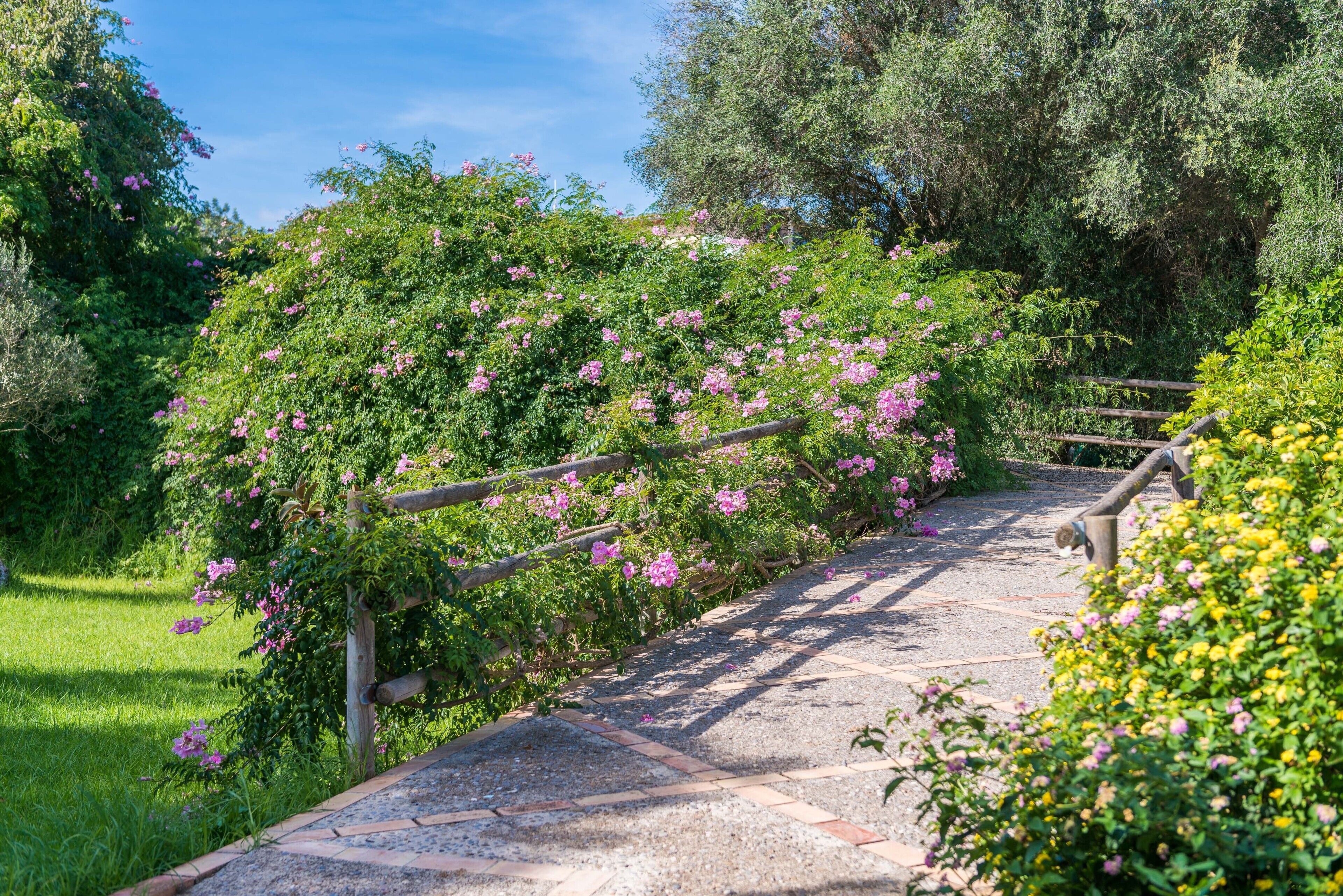 Terrein van de accommodatie