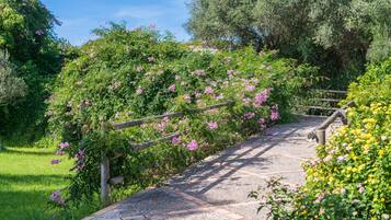 Terrein van de accommodatie