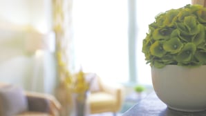 A room with a large window, a white vase with green flowers, and a yellow chair.