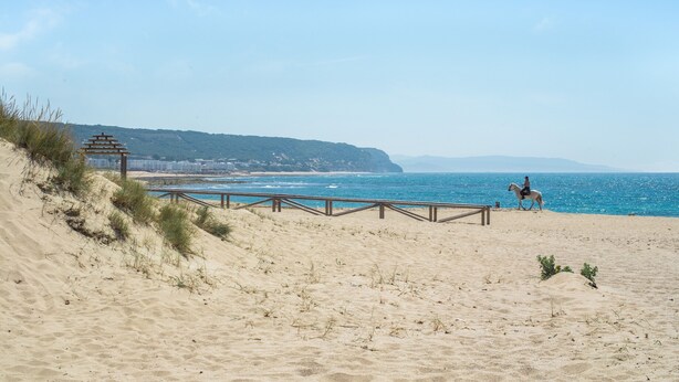 Una playa con una estructura de madera, una persona a caballo y una costa lejana.