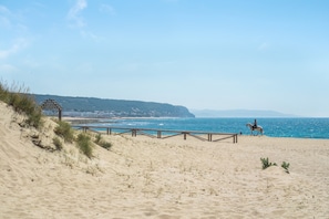 Una playa con una estructura de madera, una persona a caballo y una costa lejana.