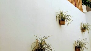 A white wall with a wooden fence and three hanging planters. - Gorgeous Suite w/Premium Ammenties in Downtown (Valladolid)