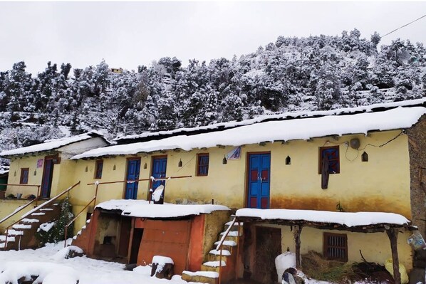 A row of yellow buildings with blue doors, surrounded by snow-covered trees.