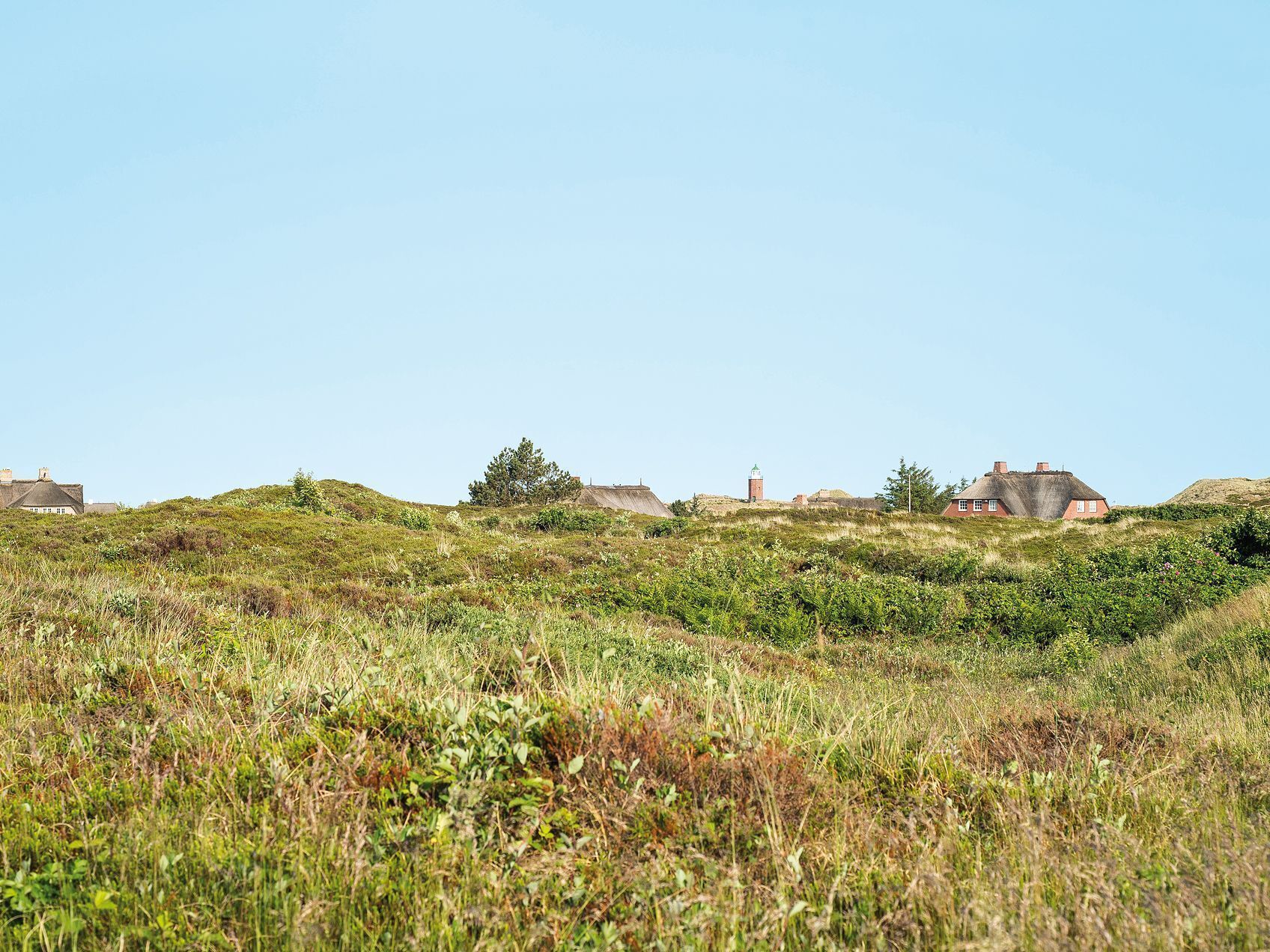 A grassy field with several buildings, including a prominent house with a thatched roof and a tower-like structure in the background.