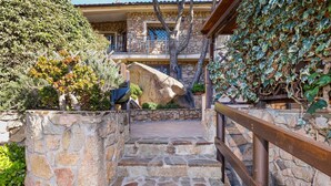 A stone staircase leading to a stone building with a balcony, surrounded by greenery and a wooden railing. - Tranquil Apartment "Leccio" on the Beach with Terrace, Garden & Wi-Fi (San Teodoro)