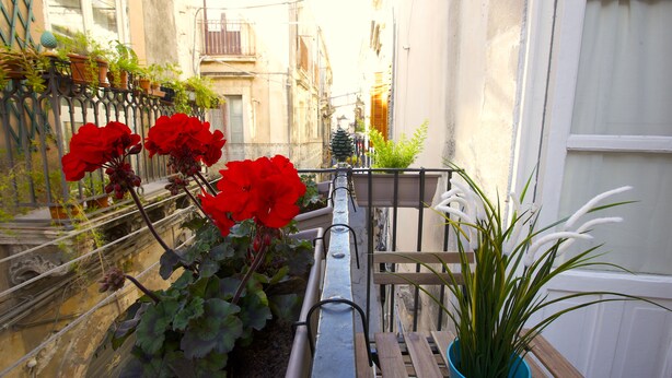 Apartment, 1 Bedroom | Balcony - Casa della Testazza (Syracuse)
