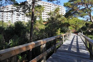 Stroll along the boardwalk surrounded by lush greenery to a multi-story building with balconies.
