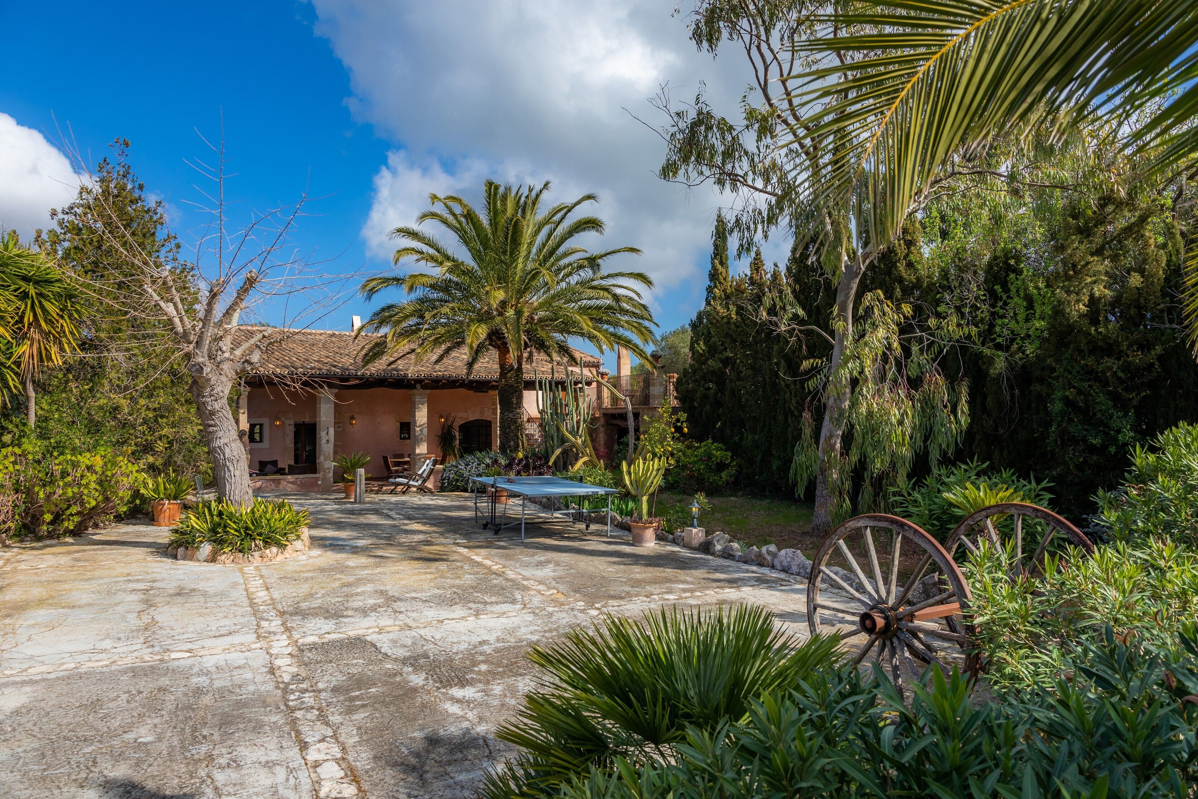 A courtyard with a palm tree, a rustic building, and a vintage cart.