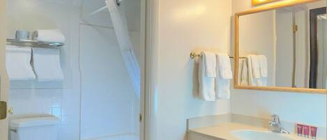 A bathroom with a toilet, shower, sink, and mirror.