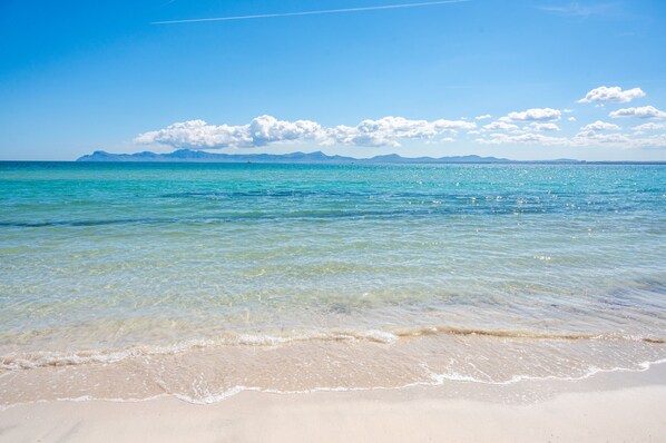 Playa en los alrededores