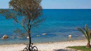 Una bicicleta estacionada bajo un árbol junto a una playa con agua azul cristalina y orilla de guijarros.