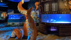 A large octopus sculpture in a marine-themed exhibit with an aquarium in the background.