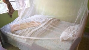 A bed with a mosquito net, a patterned bedspread, and a pillow.
