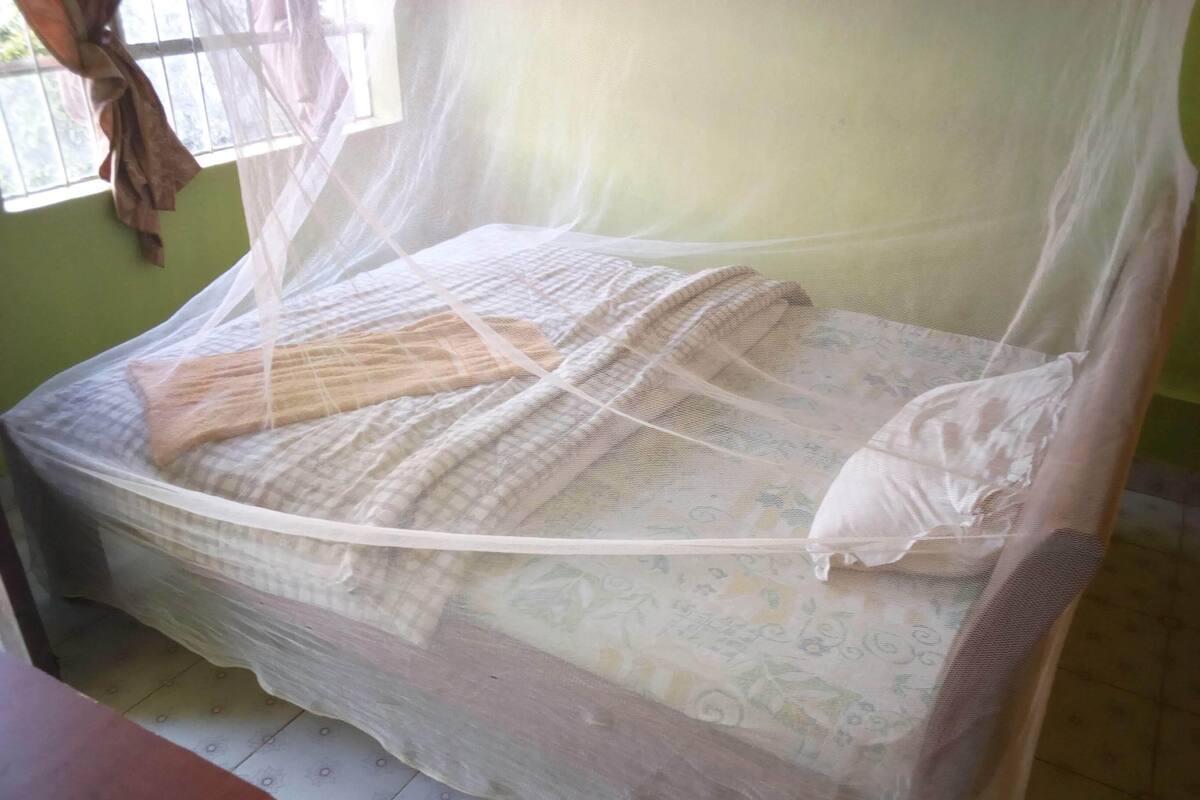 A bed with a mosquito net, a patterned bedspread, and a pillow.