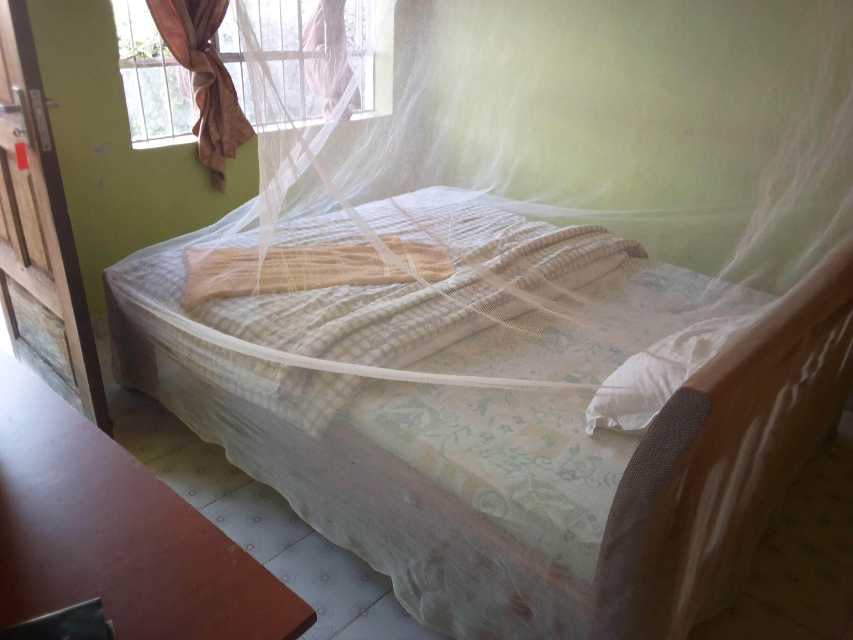 A single bed with a mosquito net, a patterned bedspread, and a window with curtains.