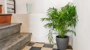 En trappe med en potteplante ved siden af.