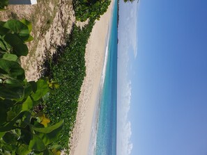 Enjoy a serene beach setting with a clear ocean view and lush green surroundings.