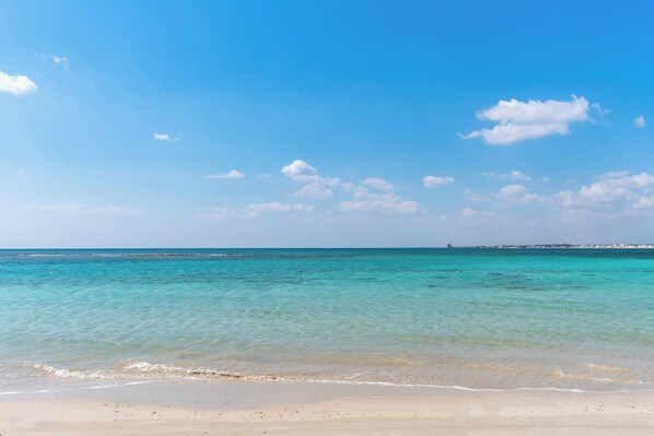 Playa en los alrededores 