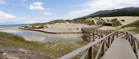 Una spiaggia nelle vicinanze