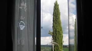 Una ventana con cortina que presenta un diseño decorativo, vista de un árbol alto y una estructura de ladrillo.