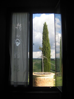 A window with a curtain featuring a leaf pattern, a view of a tall tree, and a brick structure.