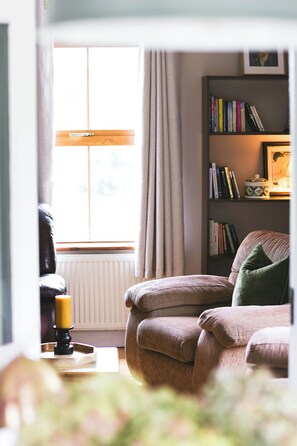 TV, fireplace - Beautiful Mountain View Home near Killarney National Park  (Killarney)