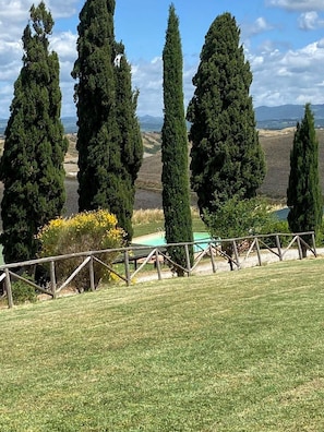 Une zone herbeuse avec de grands cyprès, une clôture en bois et une vue lointaine sur des collines.
