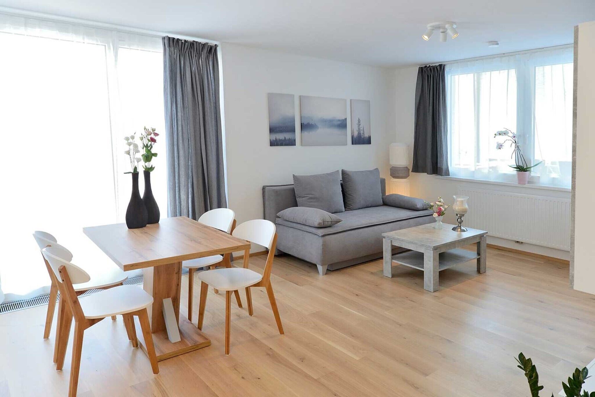 Televisio, DVD-soitin, pöytätennispöytä, stereot