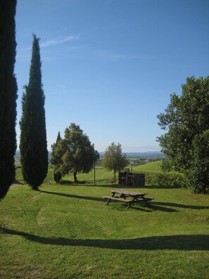 A grassy outdoor area with a picnic table, trees, and a stone structure.