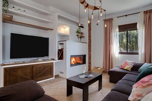 A living room with a TV, fireplace, sofa, and coffee table.