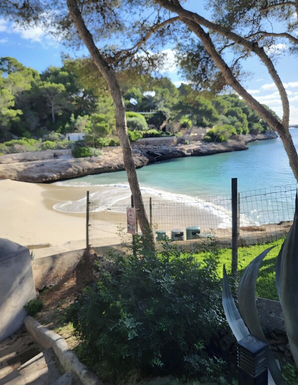 Una playa con valla, árboles y una vista despejada del agua.