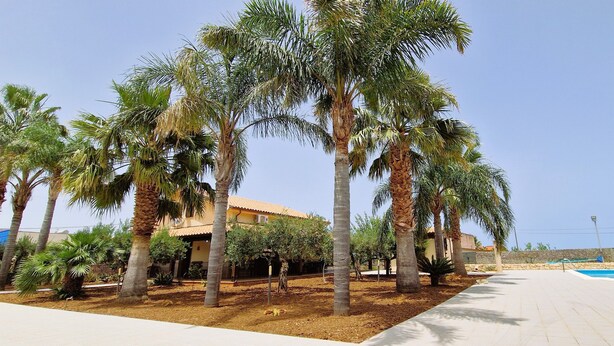 A pool area with palm trees, a building with a tiled roof, and a clear sky. - Villa 'Paradiso' with Private Pool, Wi-Fi and Air Conditioning (Alcamo)