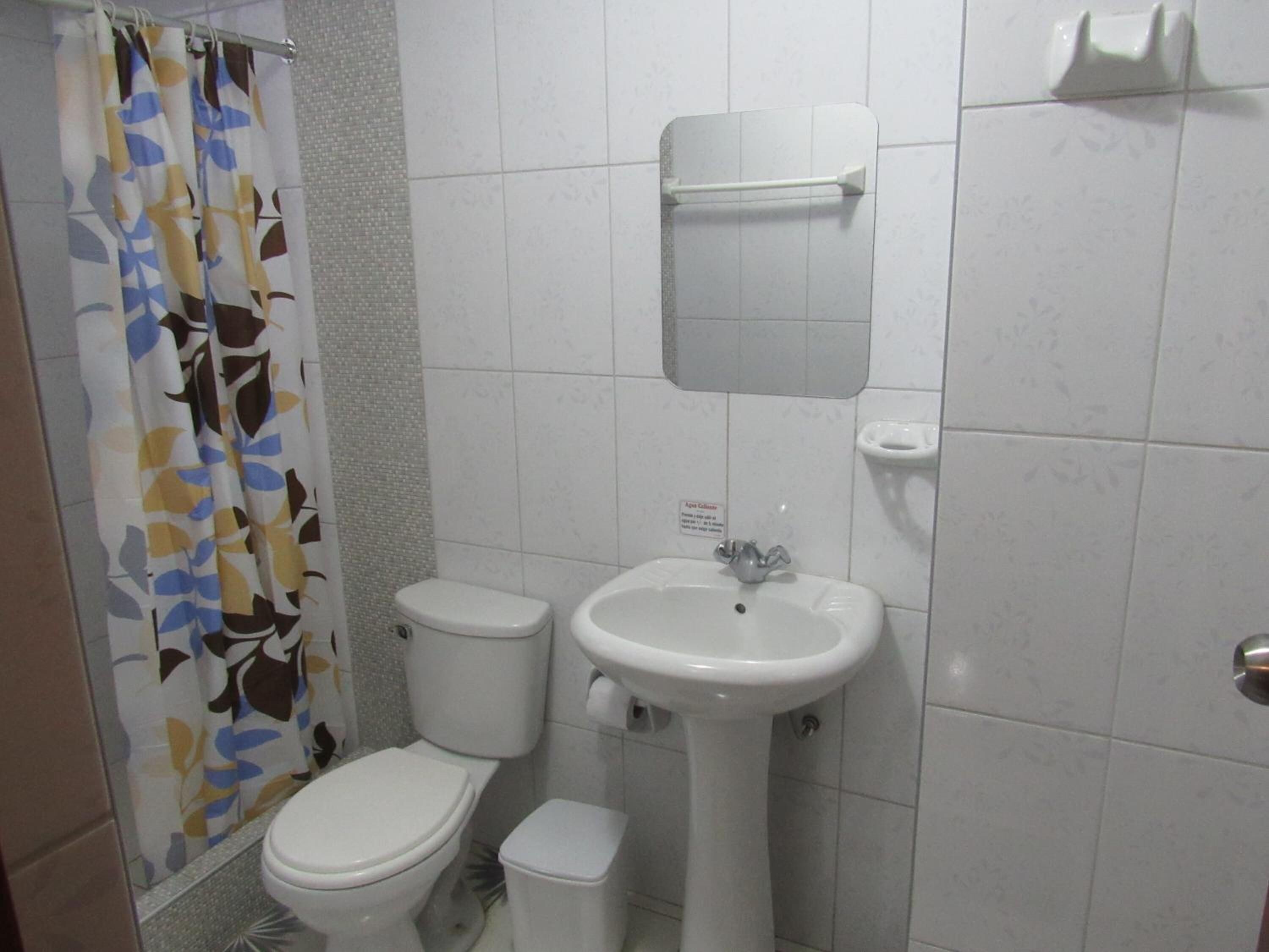 A small bathroom with a toilet, sink, and shower curtain.