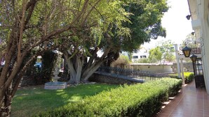 A garden with a fountain, a paved walkway, and a stone wall.