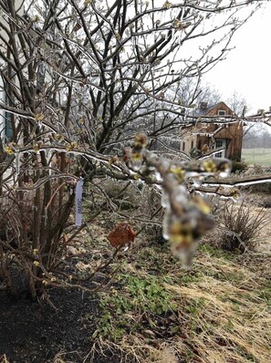 Property grounds - Rustic Meets Modern Farmhouse in Bucks County (Coopersburg)