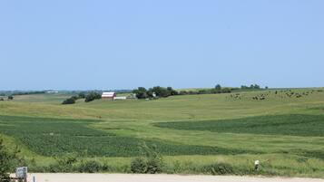 Terrain de l’hébergement