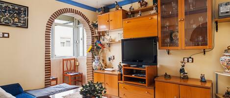 電視、DVD 播放機