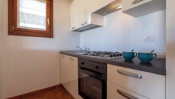 Fridge, oven, stovetop, cookware/dishes/utensils