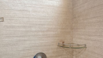 A shower with a handheld showerhead and a wall-mounted control.