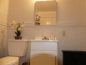 Ensemble douche/baignoire, sĂšche-cheveux, serviettes fournies, savon