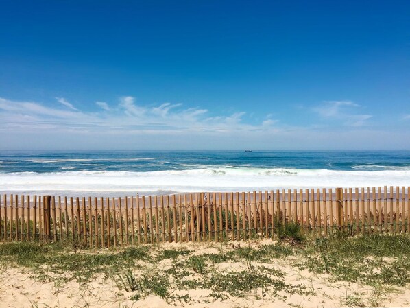 A beach with a wooden fence and sparse vegetation in the foreground.