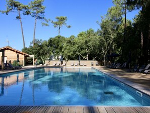 Pool - Lovely apartment in villa for 4 people with A/C, WIFI, pool, TV, terrace and pets allowed (Ondres)