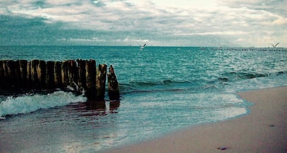 Casa de vacaciones para 11 personas + 3 niños aprox. 450 qm en Mielenko, Costa polaca del Mar Báltico