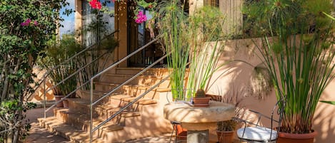 Terraza o patio
