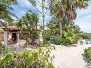 Un espace patio avec une piscine, entouré de différentes plantes et arbres.