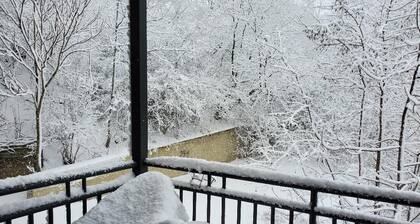 CONDO FOR RENT FOR DNC - MKE!