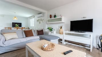 Télévision, cheminée, lecteur de DVD