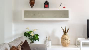 Een televisie, een open haard en een dvd-speler