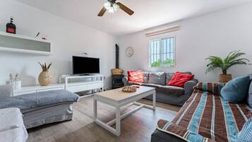 Televisie, een open haard en een dvd-speler